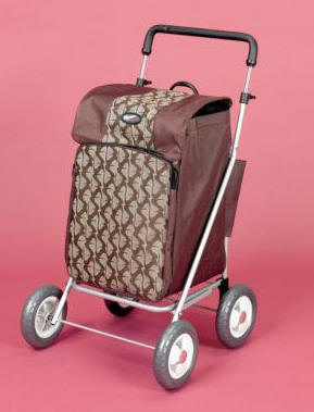 shopping_trolley_1.jpg